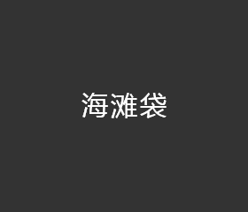海滩袋